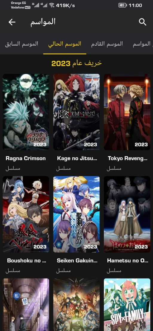 Anime Witcher