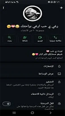 عرض الصورة 3 بالحجم الكامل