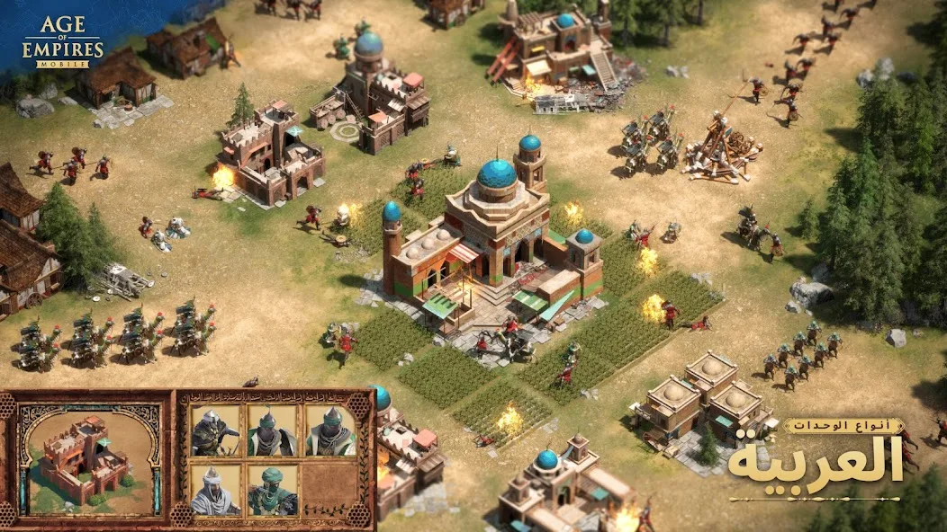 عرض الصورة 7 بالحجم الكامل