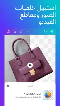 عرض الصورة 3 بالحجم الكامل