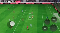 عرض الصورة 5 بالحجم الكامل