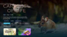 عرض الصورة 2 بالحجم الكامل