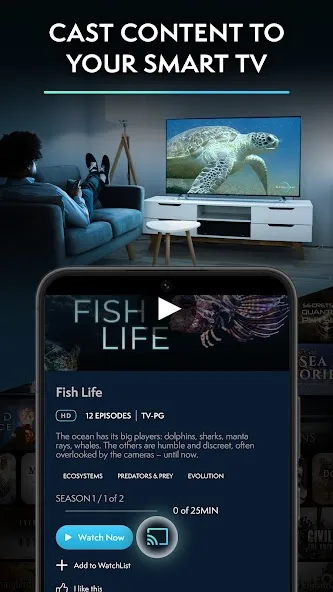 عرض الصورة 6 بالحجم الكامل