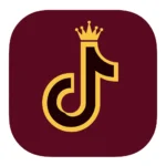 تنزيل تطبيق TikTok Gold Prime للأندرويد 2026 بقى من أكتر…