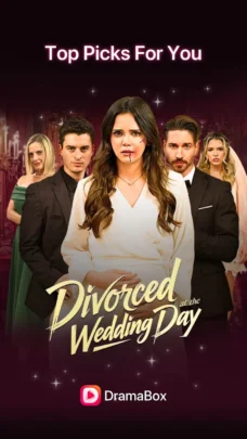 عرض الصورة 2 بالحجم الكامل