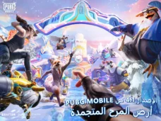 عرض الصورة 8 بالحجم الكامل