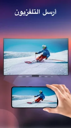 عرض الصورة 5 بالحجم الكامل