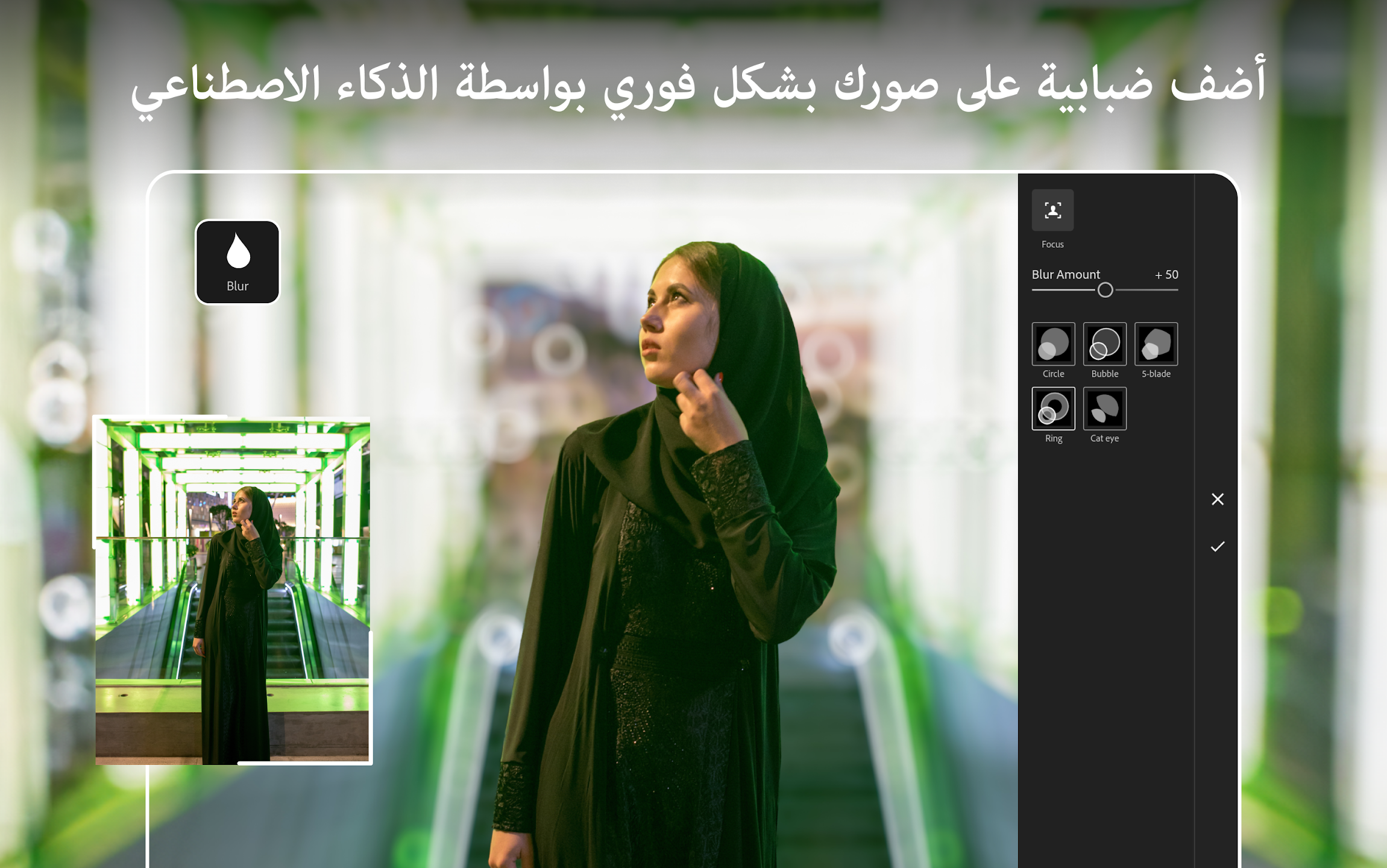 عرض الصورة 7 بالحجم الكامل