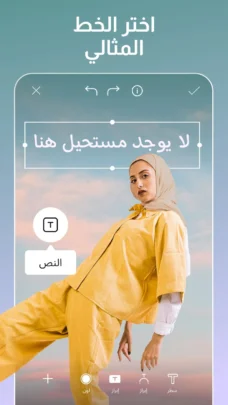 عرض الصورة 3 بالحجم الكامل