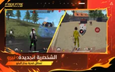 عرض الصورة 2 بالحجم الكامل