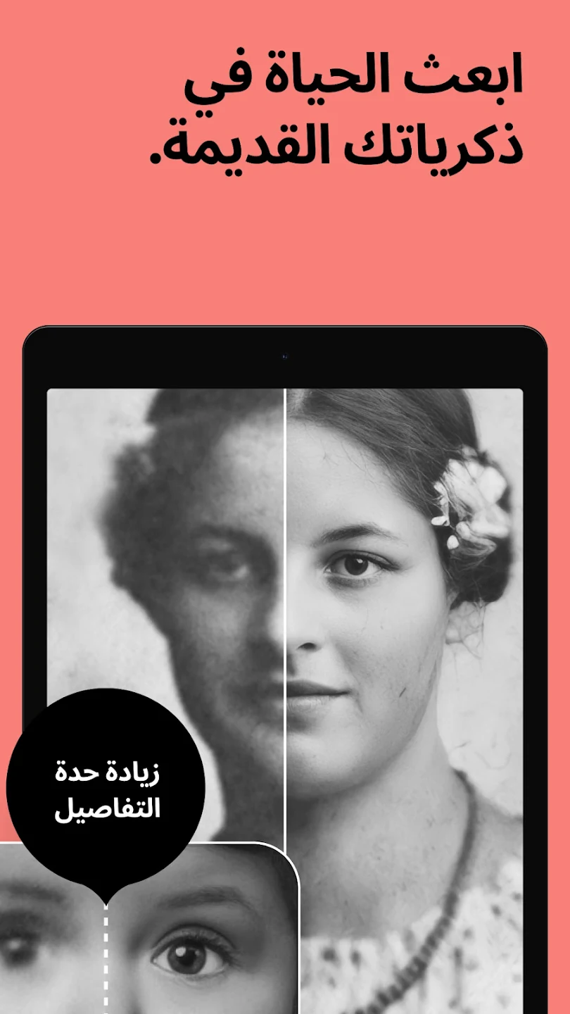 عرض الصورة 8 بالحجم الكامل