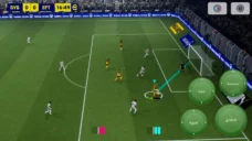 عرض الصورة 8 بالحجم الكامل