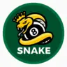 Snake 8 Ball Pool مهكرة