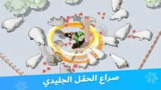 عرض الصورة 3 بالحجم الكامل