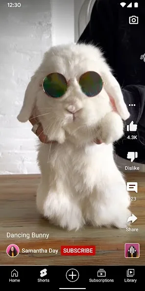 عرض الصورة 4 بالحجم الكامل