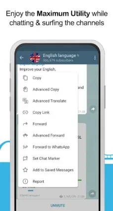 عرض الصورة 3 بالحجم الكامل