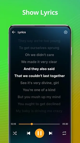 Music player v229.01