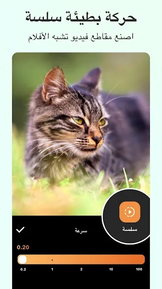 عرض الصورة 4 بالحجم الكامل