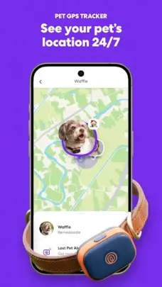 عرض الصورة 1 بالحجم الكامل