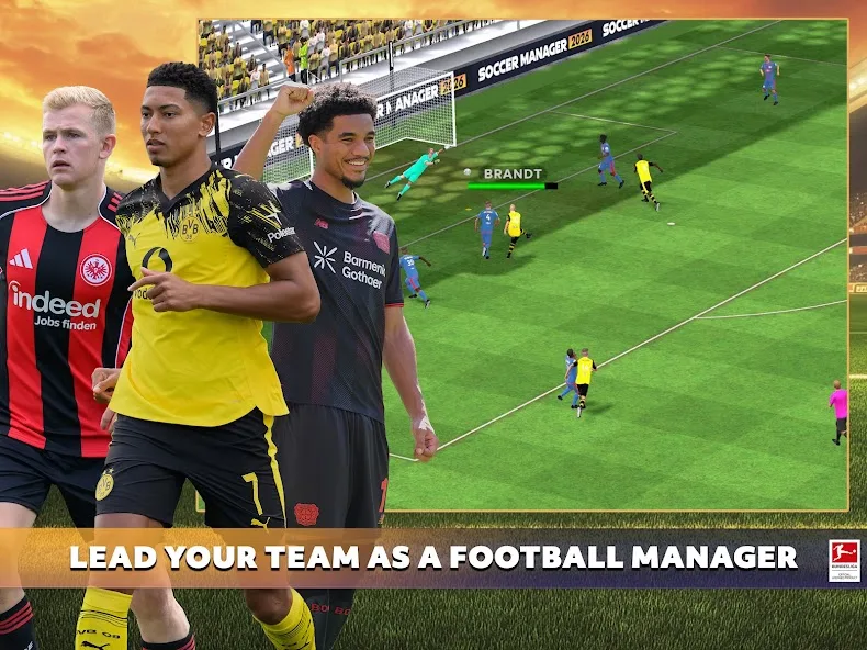 عرض الصورة 5 بالحجم الكامل