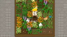 عرض الصورة 2 بالحجم الكامل