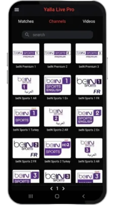 عرض الصورة 4 بالحجم الكامل