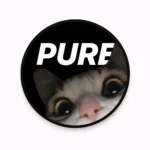 تنزيل تطبيق Purp 2026الللأندرويد  تكوين صداقات Apk اخر اصدار مجانا…