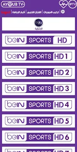 عرض الصورة 2 بالحجم الكامل