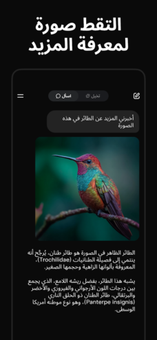 عرض الصورة 3 بالحجم الكامل