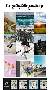 عرض الصورة 5 بالحجم الكامل