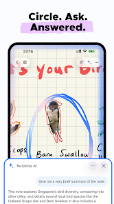 عرض الصورة 4 بالحجم الكامل