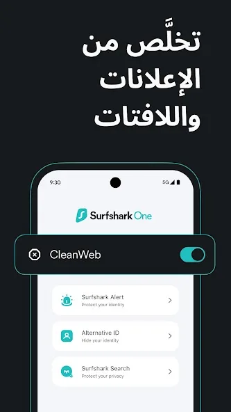 عرض الصورة 4 بالحجم الكامل