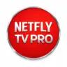 NetFly TV