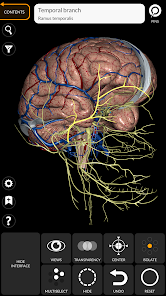 عرض الصورة 4 بالحجم الكامل