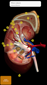 عرض الصورة 3 بالحجم الكامل