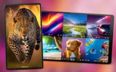 عرض الصورة 5 بالحجم الكامل