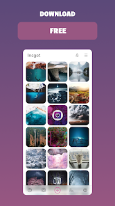 Insget