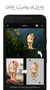 LightX Pro