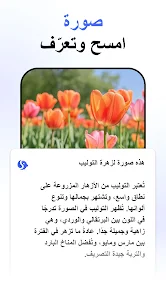 عرض الصورة 4 بالحجم الكامل