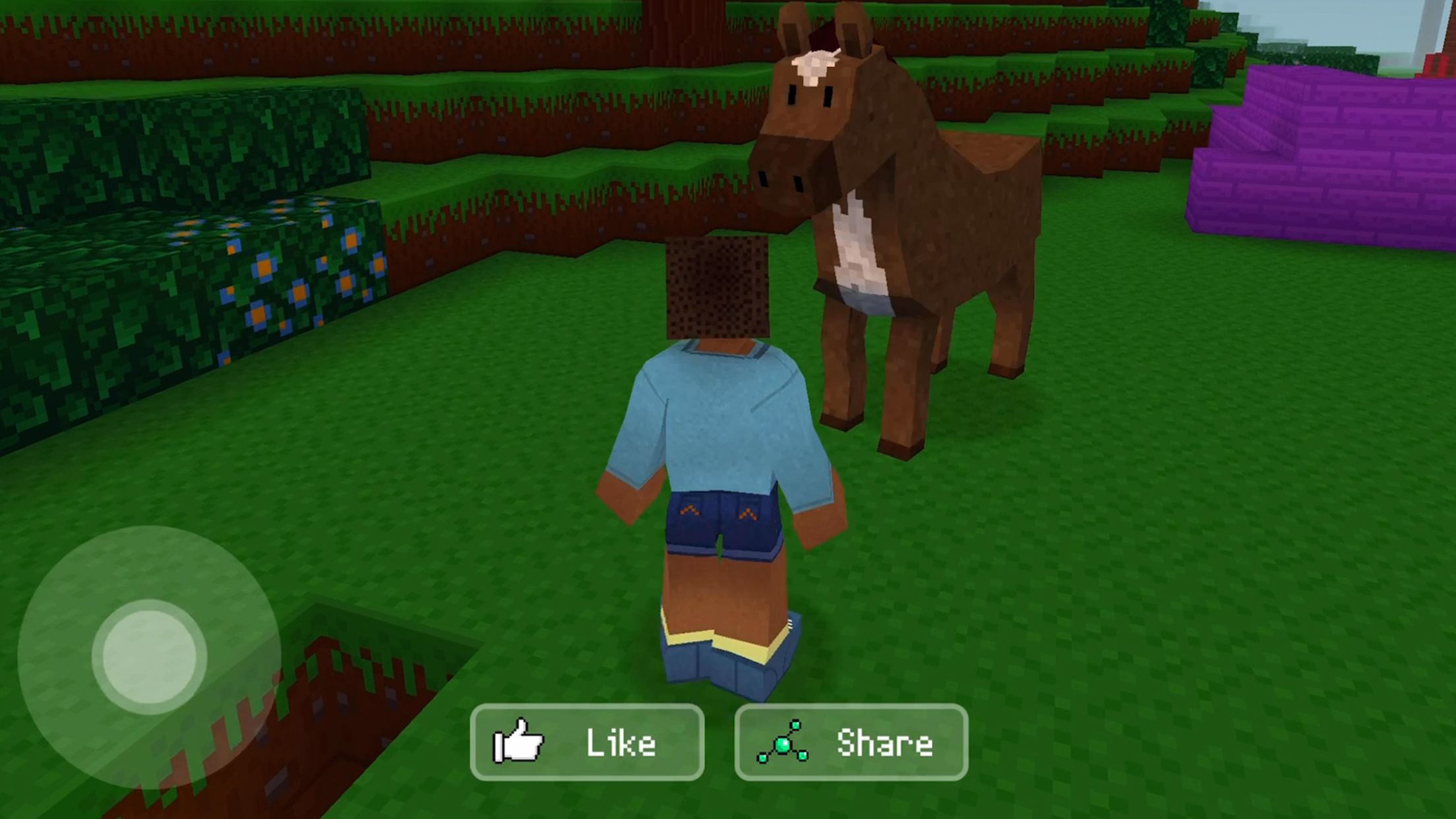 عرض الصورة 4 بالحجم الكامل