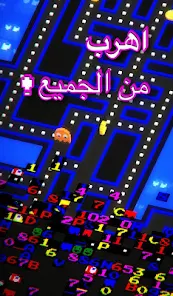 عرض الصورة 3 بالحجم الكامل