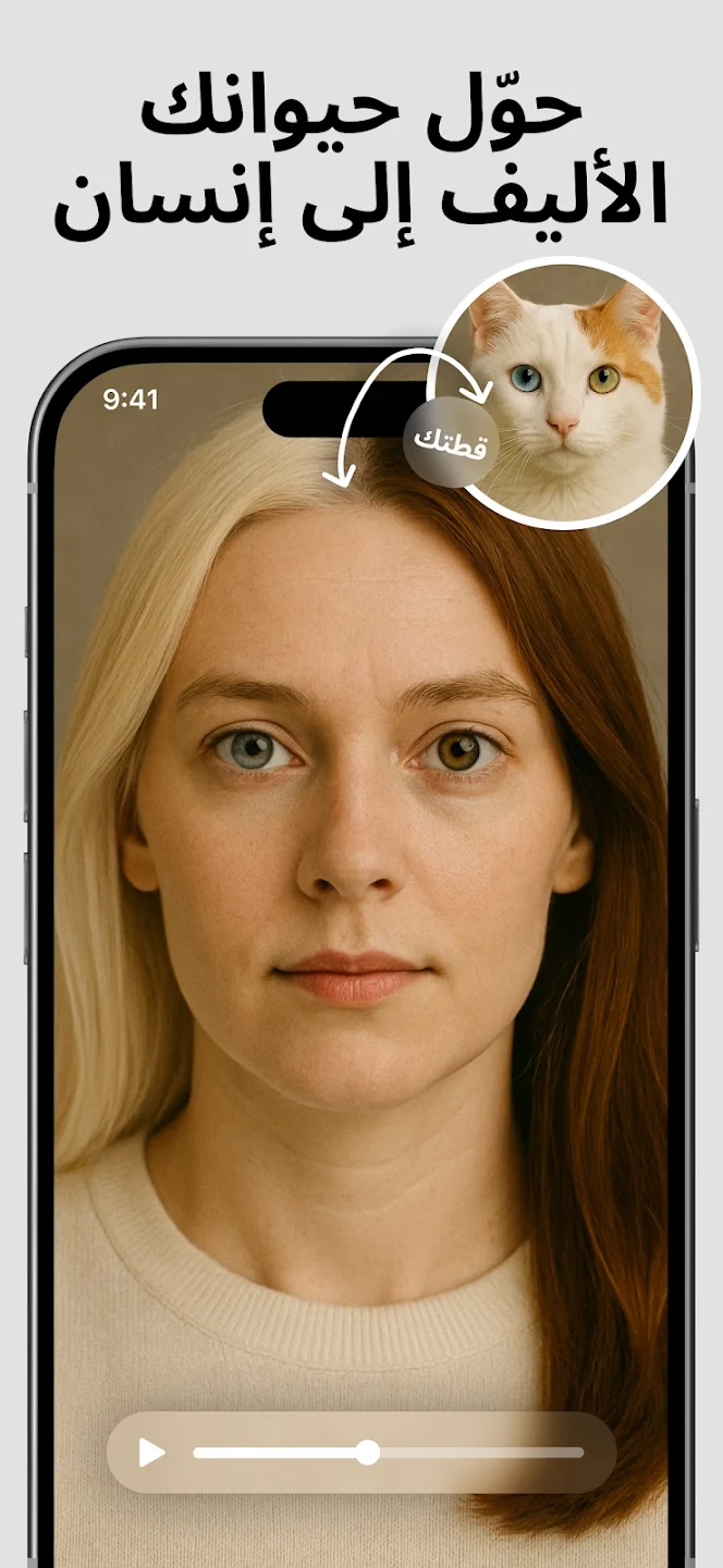 Livensa AI Effect Video Maker