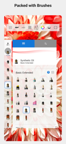 عرض الصورة 3 بالحجم الكامل