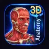 3D Anatomy