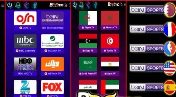 NESIM TV