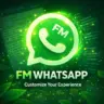 FM WhatsApp