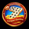 Conquer Domino
